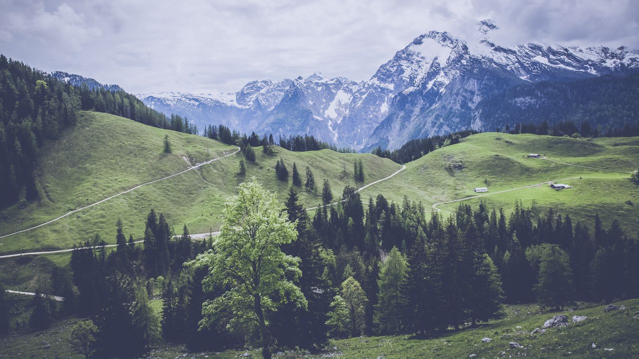 Wallpaper mountains, grass, forest, meadow, pasture