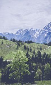 Preview wallpaper mountains, grass, forest, meadow, pasture