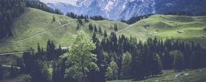 Preview wallpaper mountains, grass, forest, meadow, pasture