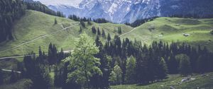 Preview wallpaper mountains, grass, forest, meadow, pasture