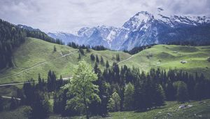 Preview wallpaper mountains, grass, forest, meadow, pasture