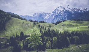 Preview wallpaper mountains, grass, forest, meadow, pasture