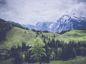 Preview wallpaper mountains, grass, forest, meadow, pasture
