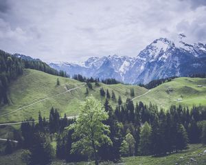 Preview wallpaper mountains, grass, forest, meadow, pasture