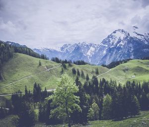 Preview wallpaper mountains, grass, forest, meadow, pasture