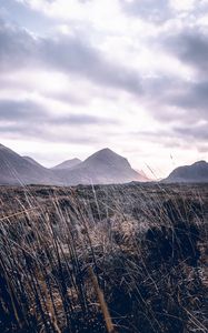 Preview wallpaper mountains, grass, landscape, clouds, fog, hilly