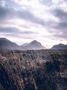 Preview wallpaper mountains, grass, landscape, clouds, fog, hilly