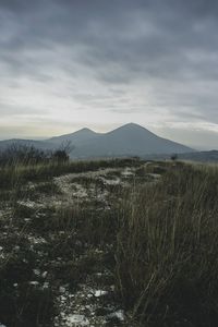 Preview wallpaper mountains, grass, path, distance