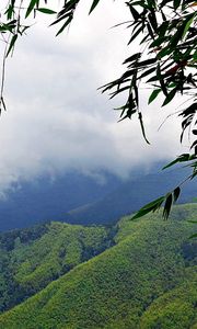 Preview wallpaper mountains, grass, sky, mist