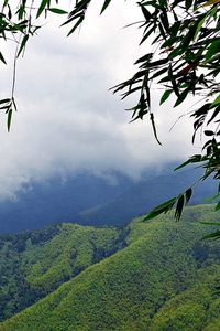 Preview wallpaper mountains, grass, sky, mist