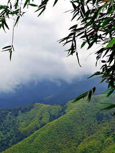 Preview wallpaper mountains, grass, sky, mist