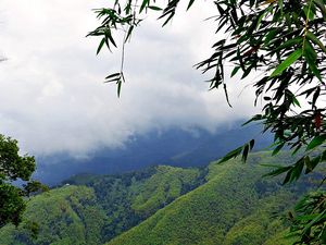 Preview wallpaper mountains, grass, sky, mist