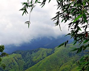 Preview wallpaper mountains, grass, sky, mist