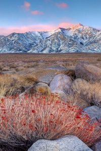 Preview wallpaper mountains, grass, stones, evening, autumn, snow