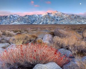 Preview wallpaper mountains, grass, stones, evening, autumn, snow