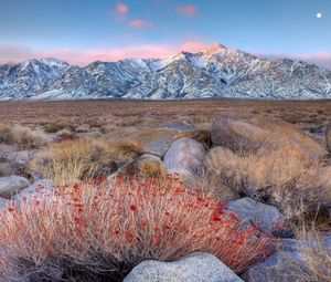 Preview wallpaper mountains, grass, stones, evening, autumn, snow