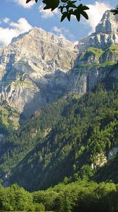 Preview wallpaper mountains, grass, trees, greenery