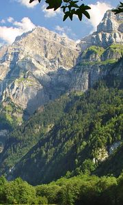 Preview wallpaper mountains, grass, trees, greenery