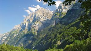 Preview wallpaper mountains, grass, trees, greenery