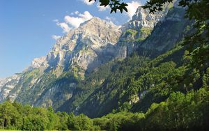 Preview wallpaper mountains, grass, trees, greenery