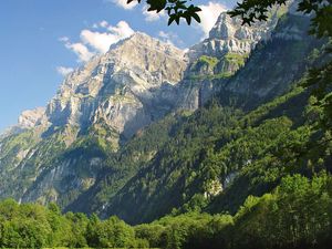 Preview wallpaper mountains, grass, trees, greenery