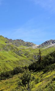 Preview wallpaper mountains, grass, tyrol, panorama