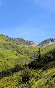 Preview wallpaper mountains, grass, tyrol, panorama