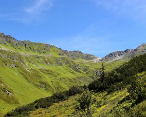 Preview wallpaper mountains, grass, tyrol, panorama