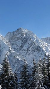 Preview wallpaper mountains, greatness, snow, fur-trees