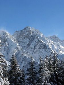 Preview wallpaper mountains, greatness, snow, fur-trees