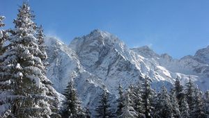 Preview wallpaper mountains, greatness, snow, fur-trees