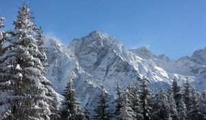 Preview wallpaper mountains, greatness, snow, fur-trees