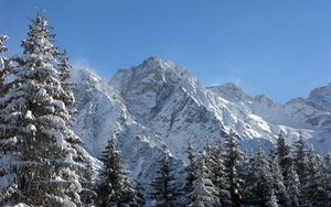 Preview wallpaper mountains, greatness, snow, fur-trees