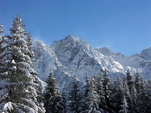 Preview wallpaper mountains, greatness, snow, fur-trees