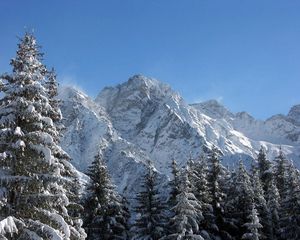 Preview wallpaper mountains, greatness, snow, fur-trees