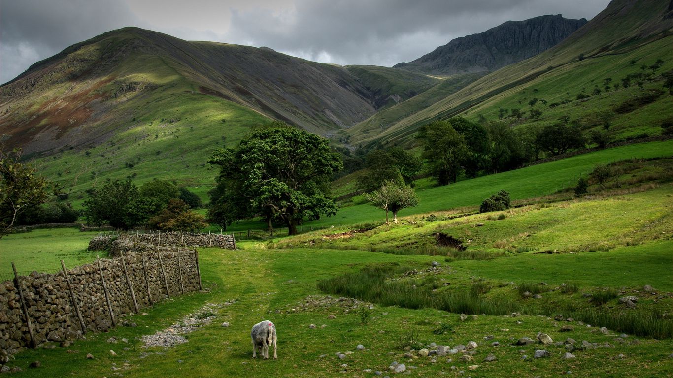 Download wallpaper 1366x768 mountains, greens, pony, pasture, fence