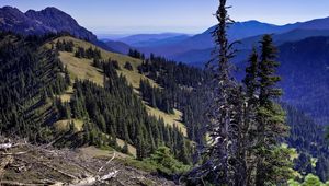 Preview wallpaper mountains, height, tree, dead, wood, branches, dry, landscape