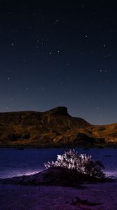 Preview wallpaper mountains, hill, bush, backlight, night, starry sky
