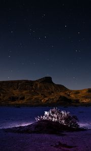 Preview wallpaper mountains, hill, bush, backlight, night, starry sky