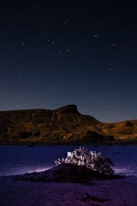 Preview wallpaper mountains, hill, bush, backlight, night, starry sky