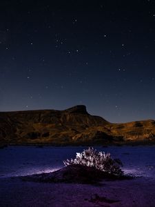 Preview wallpaper mountains, hill, bush, backlight, night, starry sky