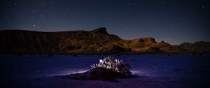 Preview wallpaper mountains, hill, bush, backlight, night, starry sky