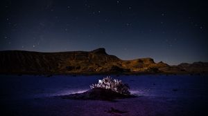 Preview wallpaper mountains, hill, bush, backlight, night, starry sky