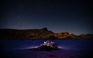 Preview wallpaper mountains, hill, bush, backlight, night, starry sky