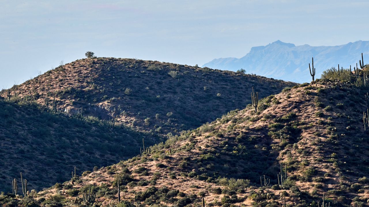 Wallpaper mountains, hill, cacti, grass