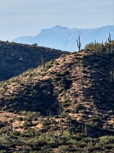 Preview wallpaper mountains, hill, cacti, grass