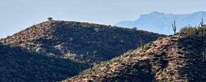 Preview wallpaper mountains, hill, cacti, grass