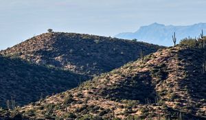 Preview wallpaper mountains, hill, cacti, grass