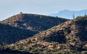 Preview wallpaper mountains, hill, cacti, grass