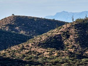 Preview wallpaper mountains, hill, cacti, grass